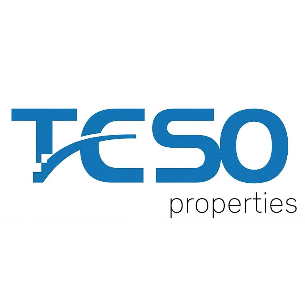 Teso properties